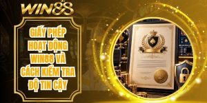 Giấy Phép Hoạt Động Win88
