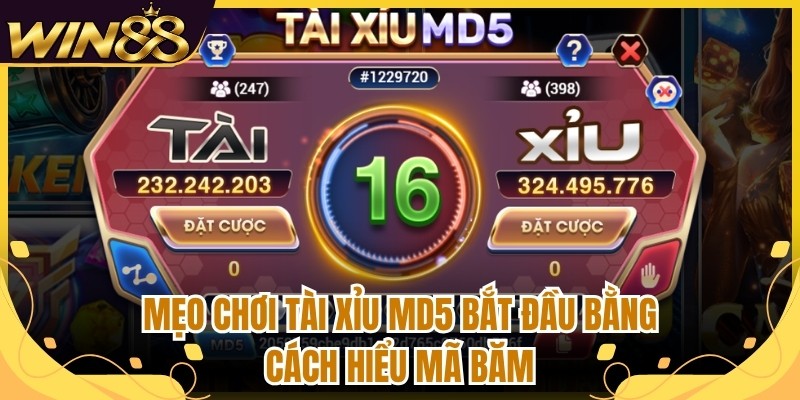 Mẹo chơi tài xỉu MD5 bắt đầu bằng cách hiểu mã băm