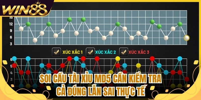 Soi Cầu Tài Xỉu MD5 - Cách Đọc Dữ Liệu Có Cơ Sở Thực Tế 3 Soi cầu tài xỉu MD5 cần kiểm tra cả đúng lẫn sai thực tế